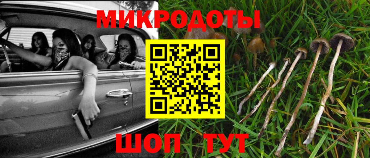 Псилоцибиновые грибы Psilocybe  где продают наркотики  Мценск  Вход с VPN 